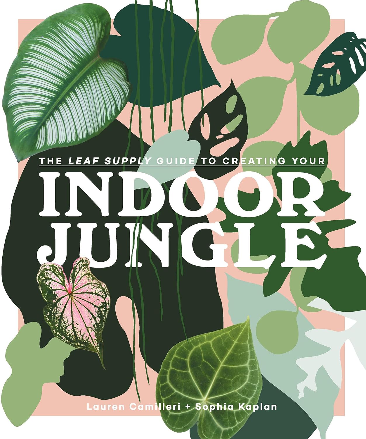 The Leaf Supply Guide to Creating Your Indoor Jungle by Lauren Camilleri