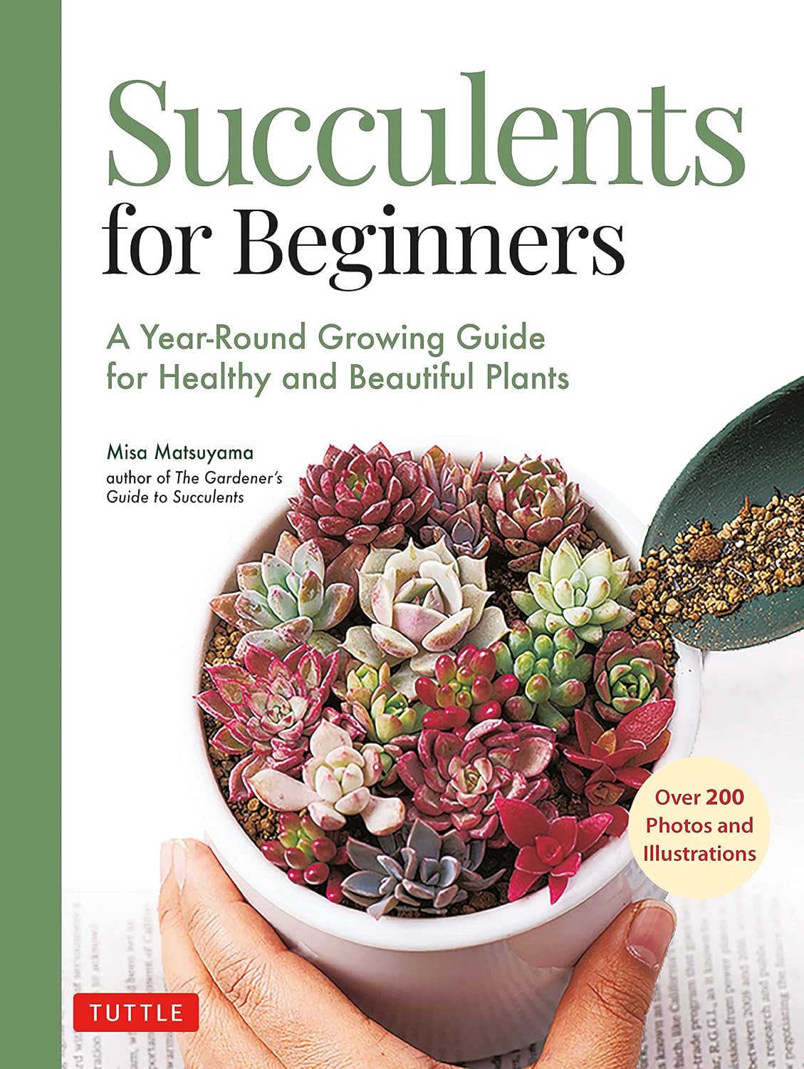 Succulents for Beginners: A Year-Round Growing Guide for Healthy and Beautiful Plants (over 200 Photos and Illustrations) by Misa Matsuyama
