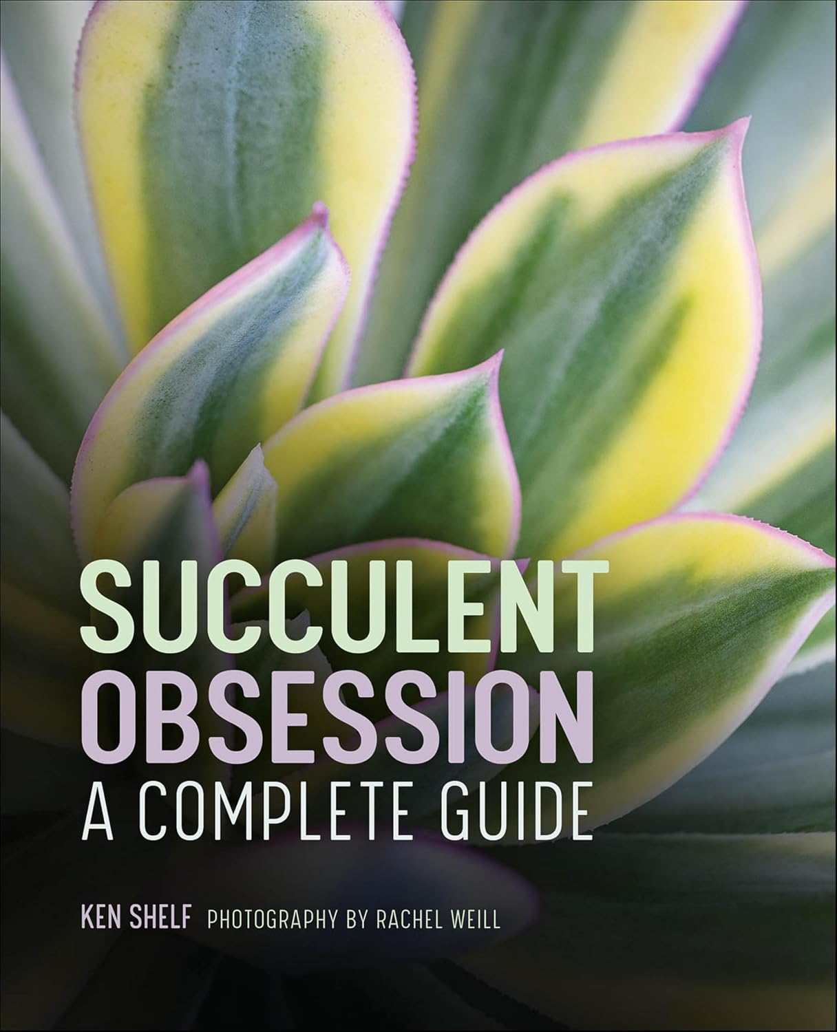 Succulent Obsession: A Complete Guide by Ken Shelf