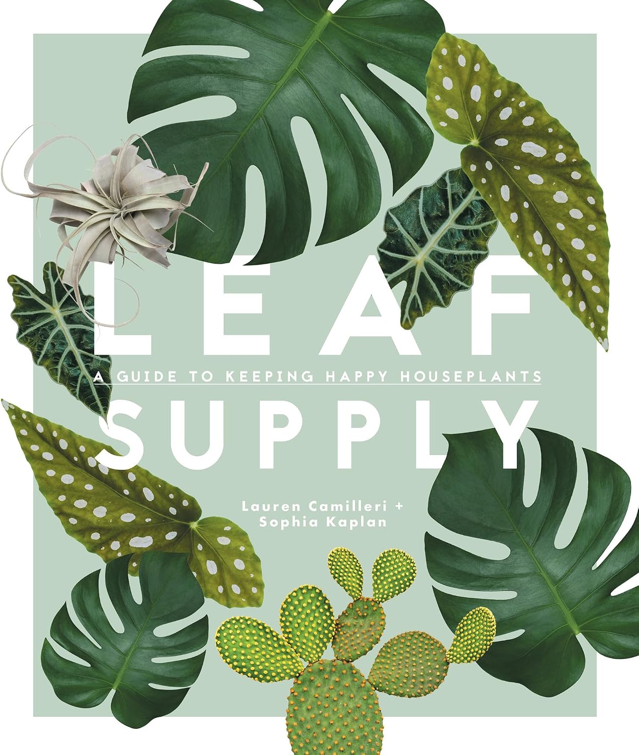 Leaf Supply: A Guide to Keeping Happy House Plants by Lauren Camilleri
