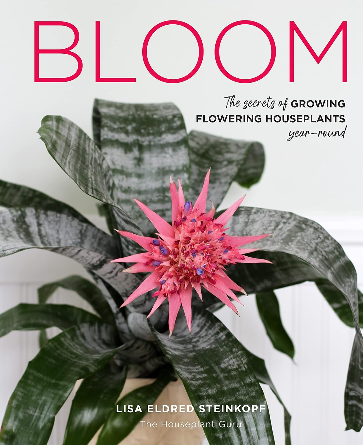 Bloom: The secrets of growing flowering houseplants year-round by Lisa Eldred Steinkopf