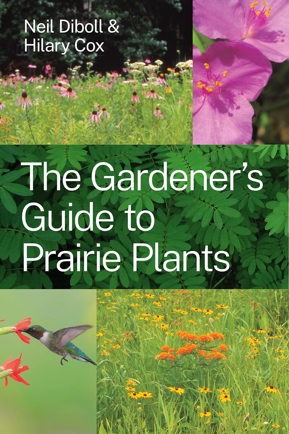 The Gardener's Guide to Prairie Plants by Neil Diboll