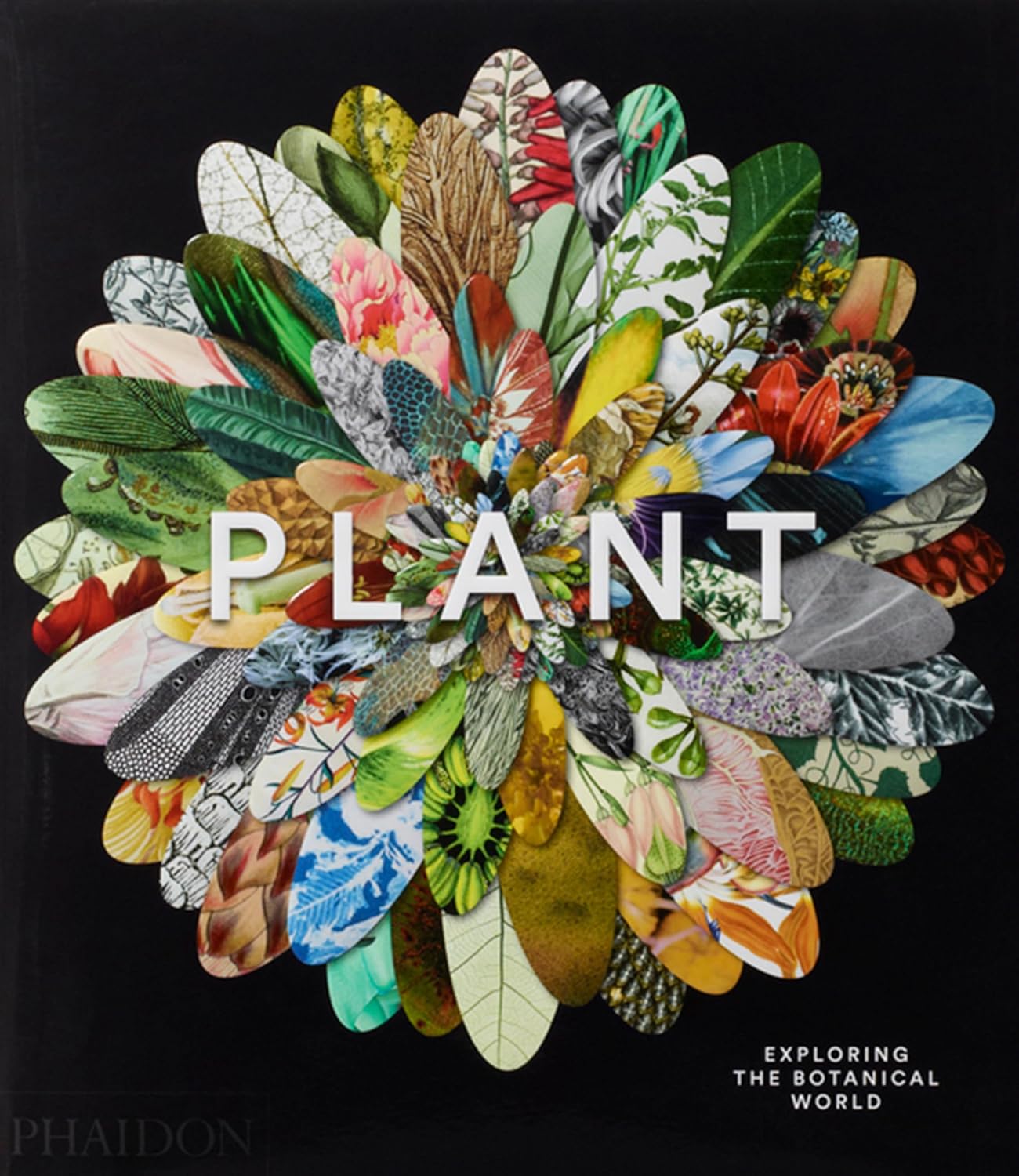 Plant: Exploring the Botanical World by Phaidon Editors