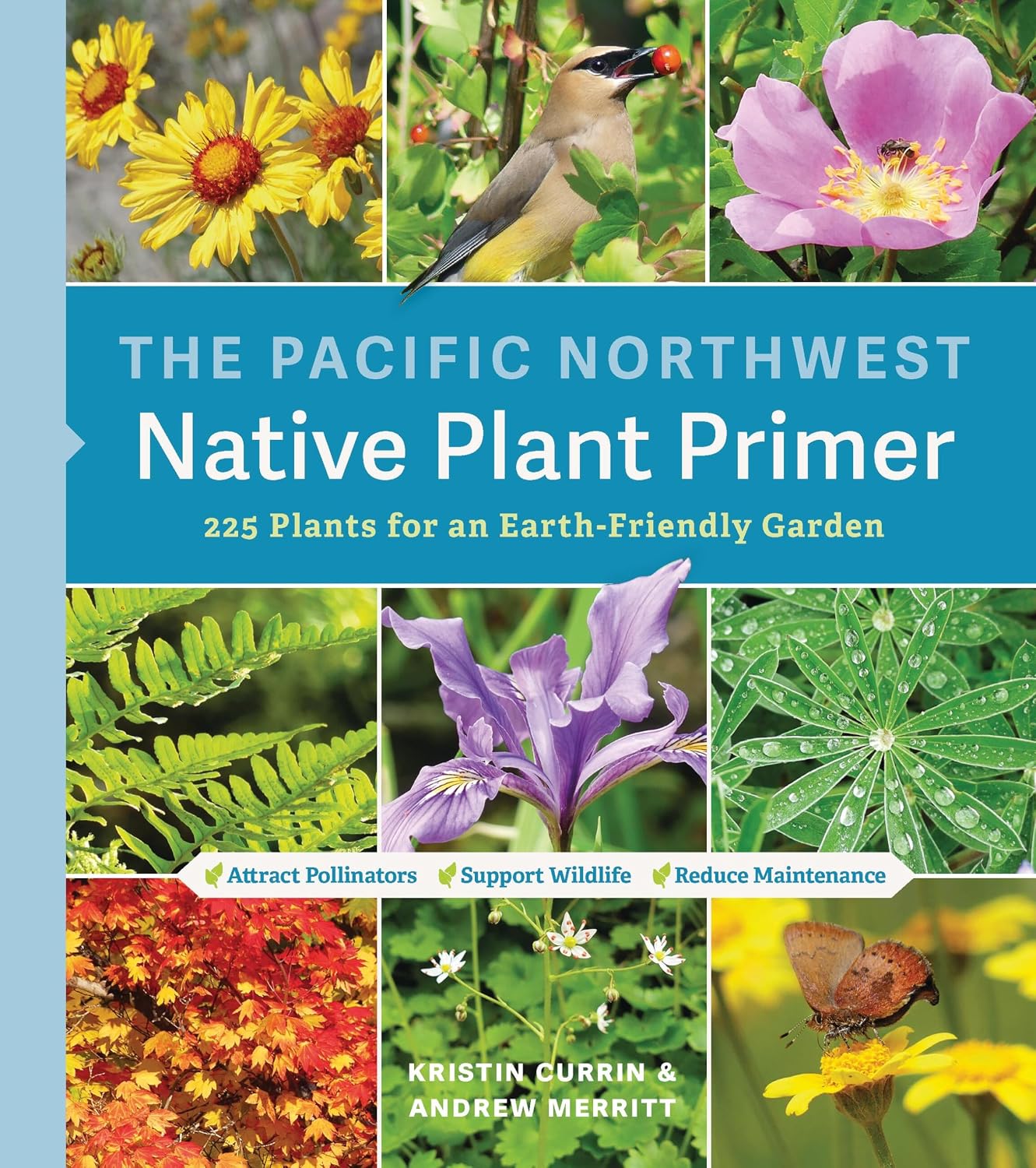 The Pacific Northwest Native Plant Primer: 225 Plants for an Earth-Friendly Garden by Kristin Currin