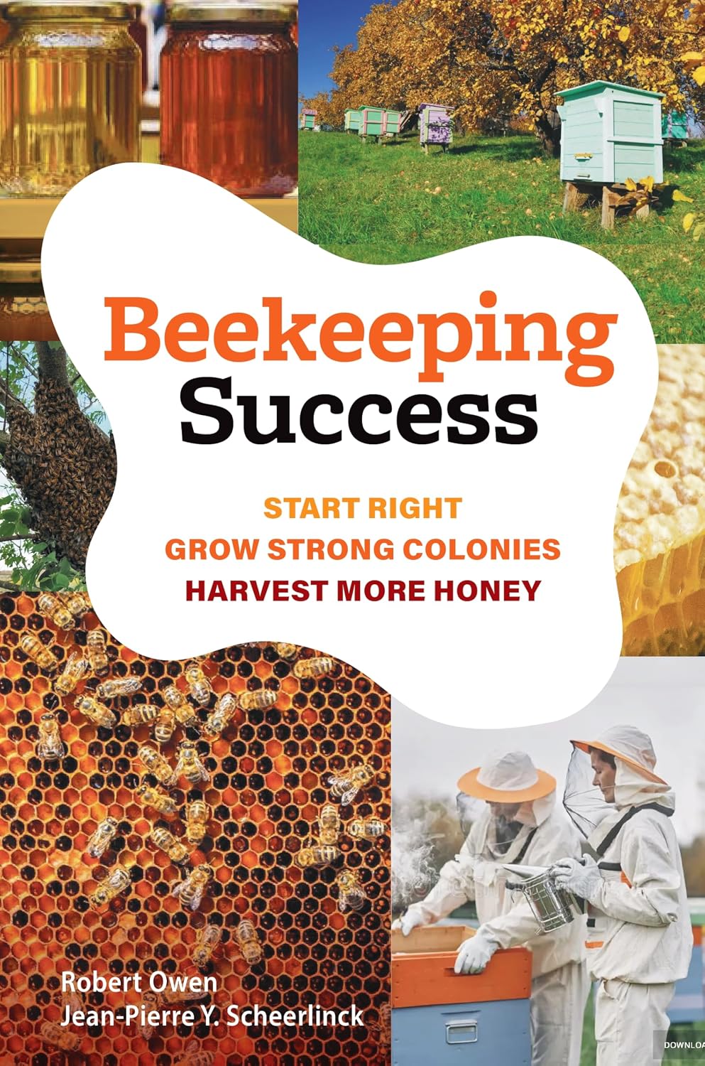 Beekeeping Success: Start Right, Grow Strong Colonies, Harvest More Honey by Dr Robert Owen
