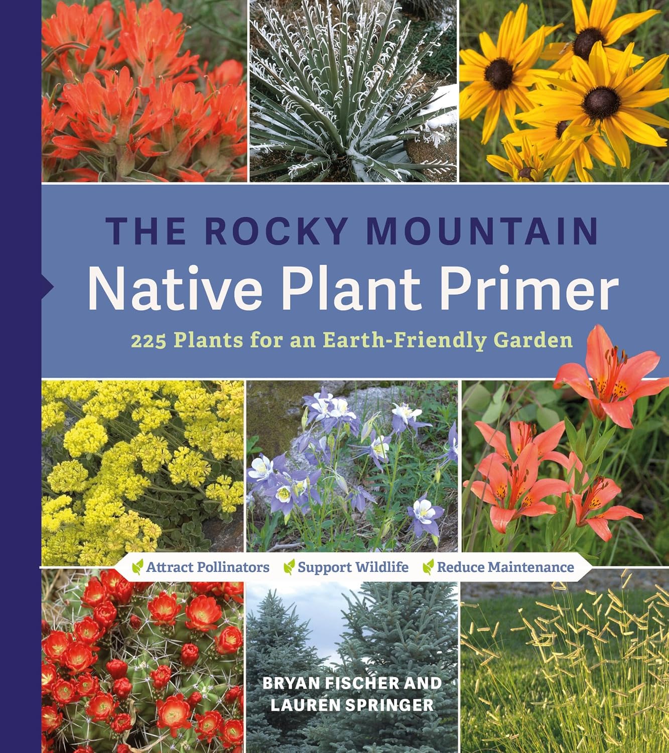 The Rocky Mountain Native Plant Primer: 225 Plants for an Earth-Friendly Garden by Lauren Springer