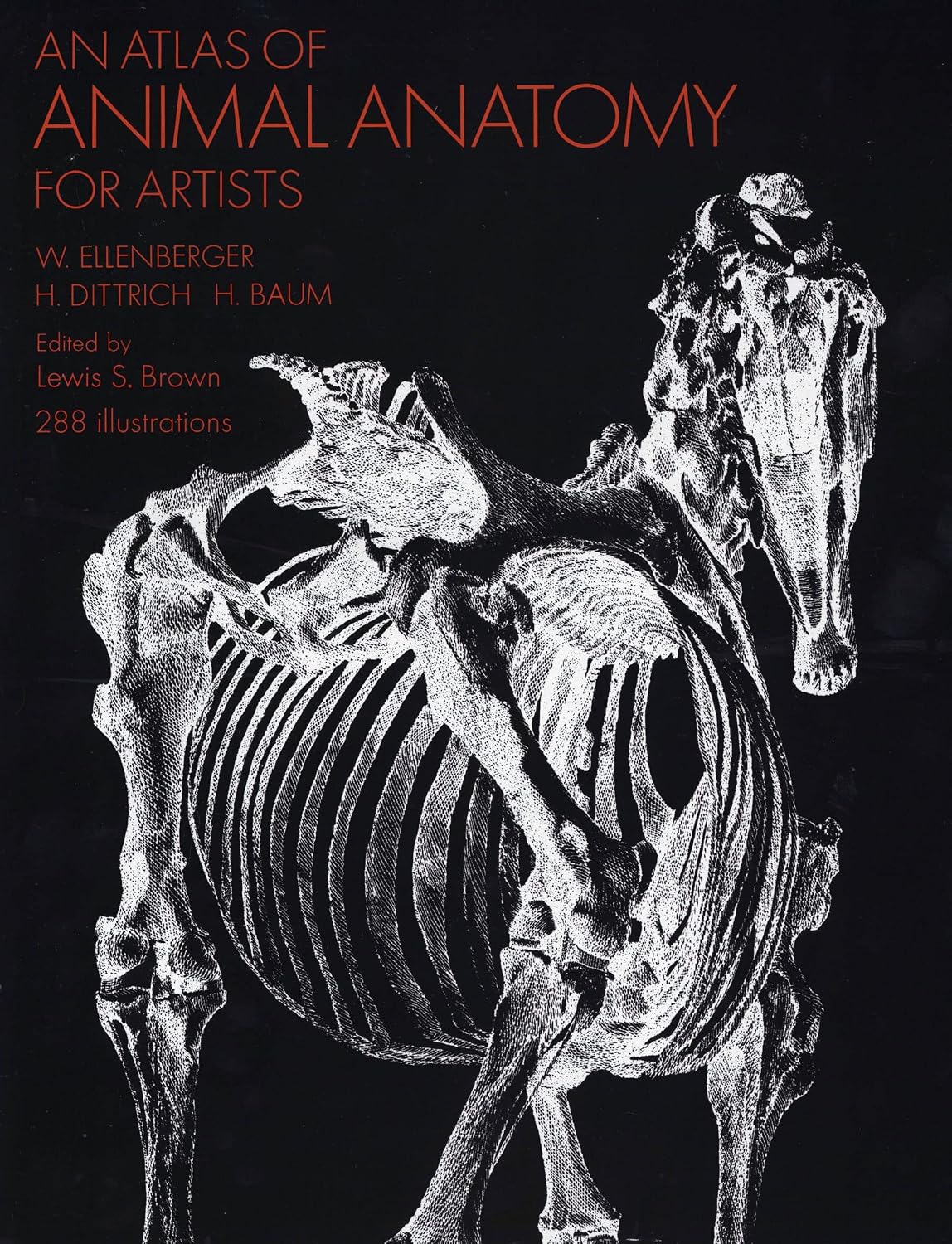 An Atlas of Animal Anatomy for Artists (Dover Anatomy for Artists) by W. Ellenberger