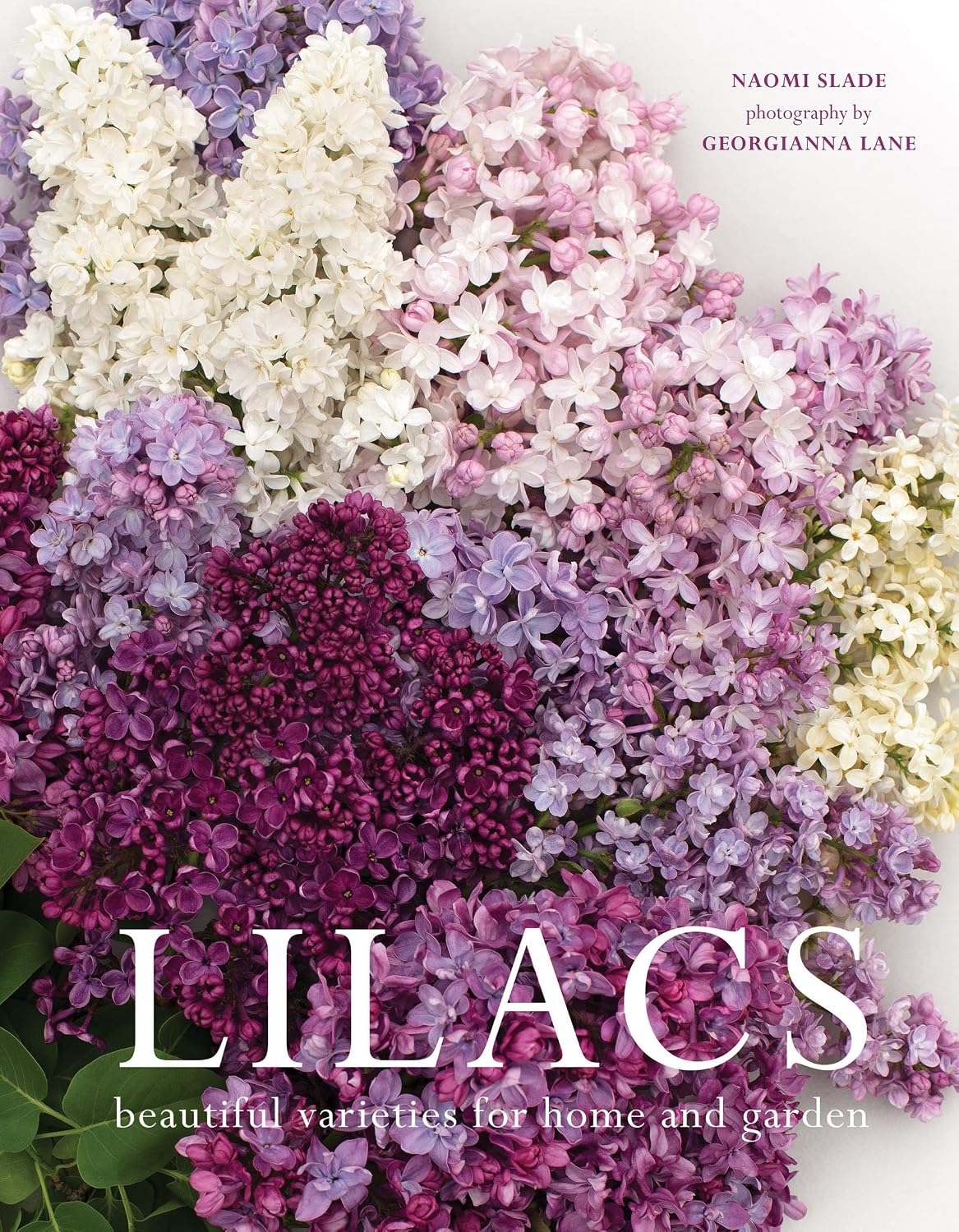 Lilacs: Beautiful Varieties for Home and Garden (Flowers) by Naomi Slade
