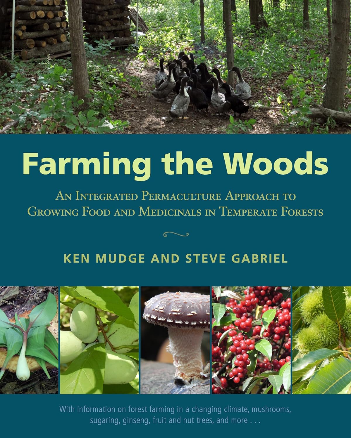Farming the Woods: An Integrated Permaculture Approach to Growing Food and Medicinals in Temperate Forests by Ken Mudge