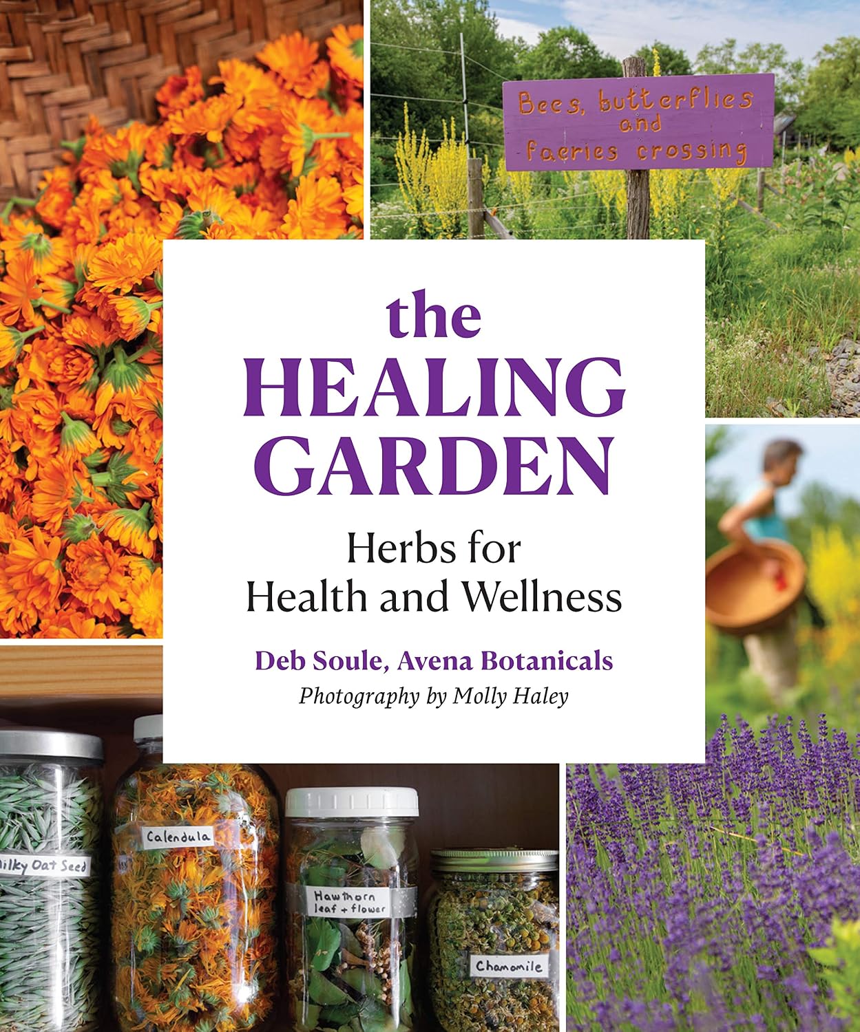The Healing Garden: Herbal Plants for Health and Wellness by Deb Soule
