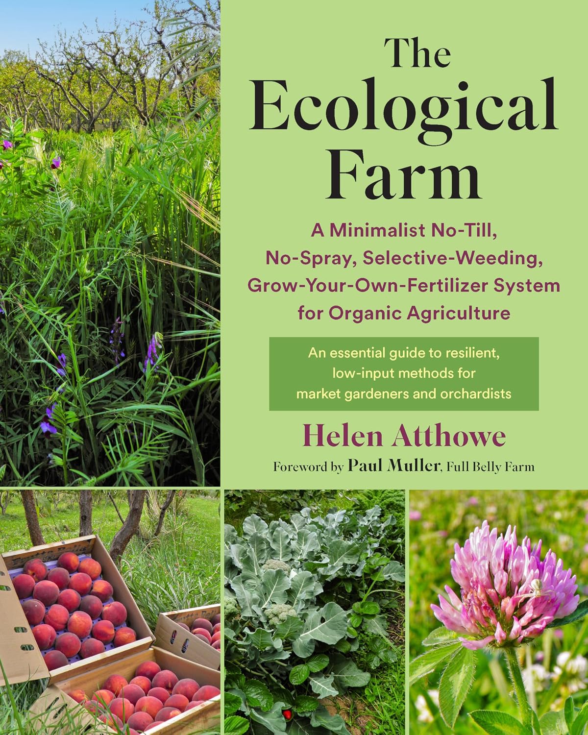 The Ecological Farm: A Minimalist No-Till, No-Spray, Selective-Weeding, Grow-Your-Own-Fertilizer System for Organic Agriculture by Helen Atthowe