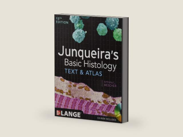 Junqueira's Basic Histology: Text and Atlas, Thirteenth Edition by Anthony Mescher