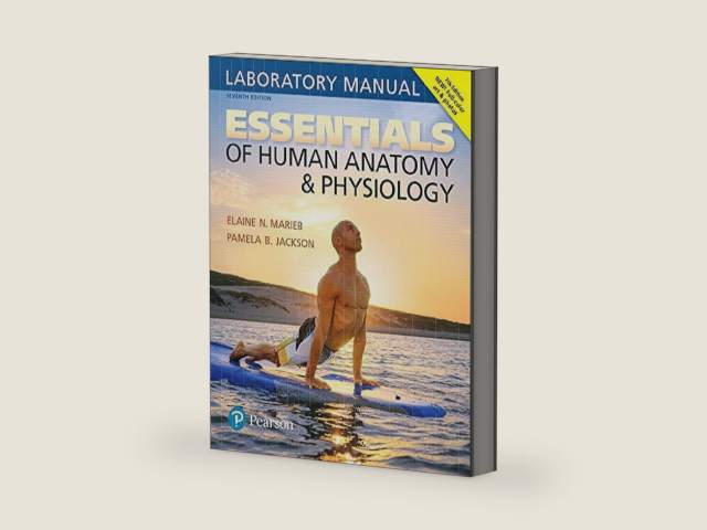 Essentials of Human Anatomy & Physiology Laboratory Manual by Elaine Marieb