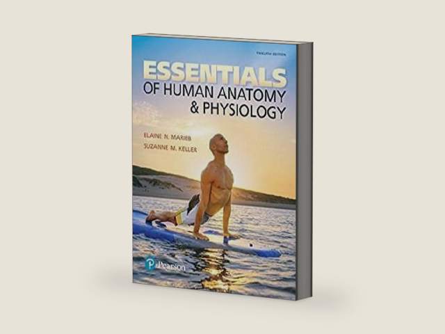 Essentials of Human Anatomy & Physiology (NASTA EDITION) by Elaine N. Marieb