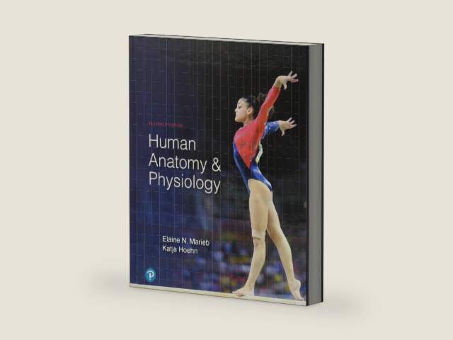 Human Anatomy & Physiology by Elaine Marieb