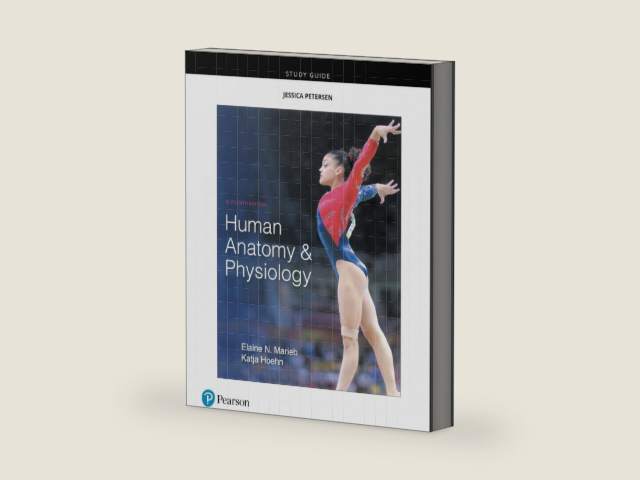 Study Guide for Human Anatomy & Physiology by Elaine Marieb