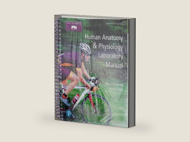 Human Anatomy & Physiology Laboratory Manual, Fetal Pig Version by Elaine Marieb