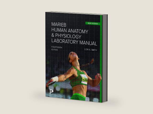 Marieb Human Anatomy & Physiology Laboratory Manual, Main Version by Lori Smith