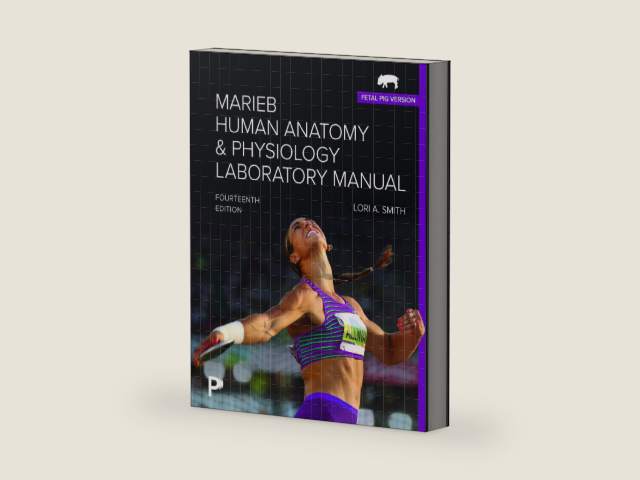 Marieb Human Anatomy & Physiology Laboratory Manual, Fetal Pig Version by Lori Smith