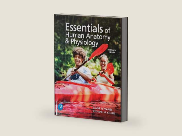 Essentials of Human Anatomy & Physiology, 13th edition, c.2022, 9780137321599, 0137321597 by Elaine N. Marieb