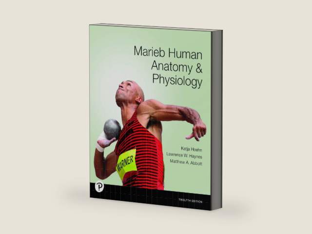 Marieb Marieb Human Anatomy & Physiology by Katja Hoehn