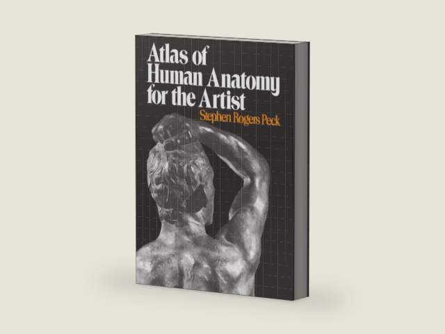 Atlas of Human Anatomy for the Artist by Stephen Rogers PECK