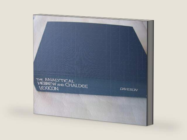 The Analytical Hebrew and Chaldee Lexicon: Every Word and Inflection of the Hebrew Old Testament Arranged Alphabetically and with Grammatical Analyses (Hebrew and Chaldee Paradigm Series) by Benjamin Davidson