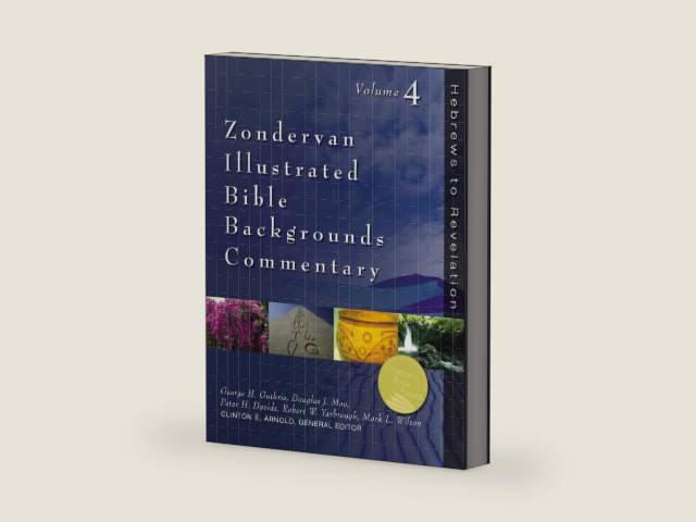 Zondervan Illustrated Bible Backgrounds Commentary - Hebrews to Revelation Vol.4 by Zondervan