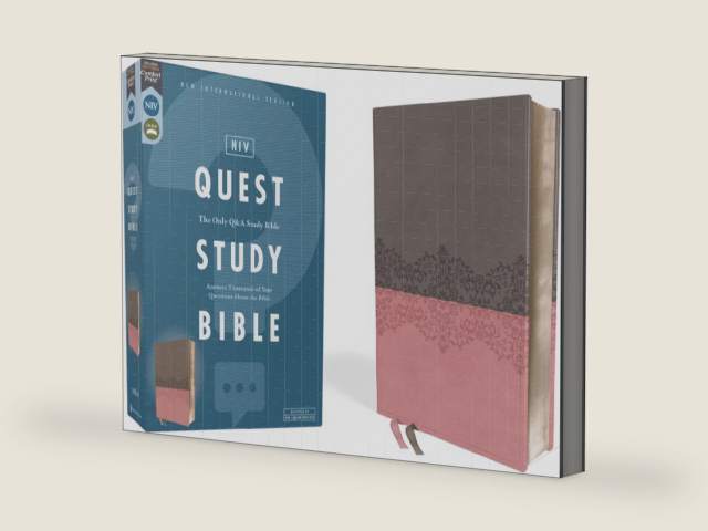 NIV, Quest Study Bible, Leathersoft, Gray/Pink, Comfort Print: The Only Q and A Study Bible by Christianity Today Intl.