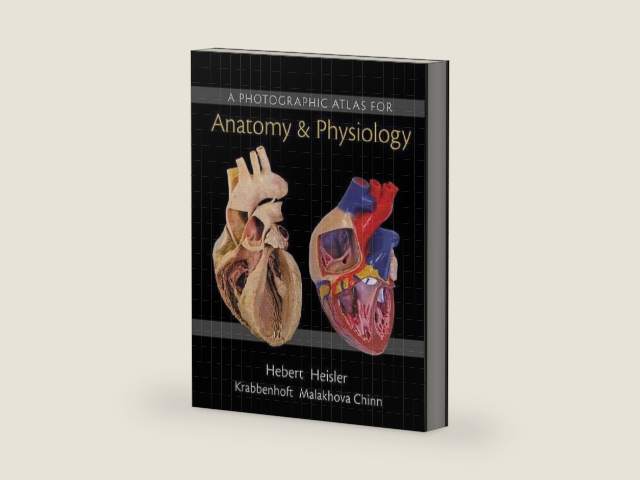 Photographic Atlas for Anatomy & Physiology, A by Nora Hebert