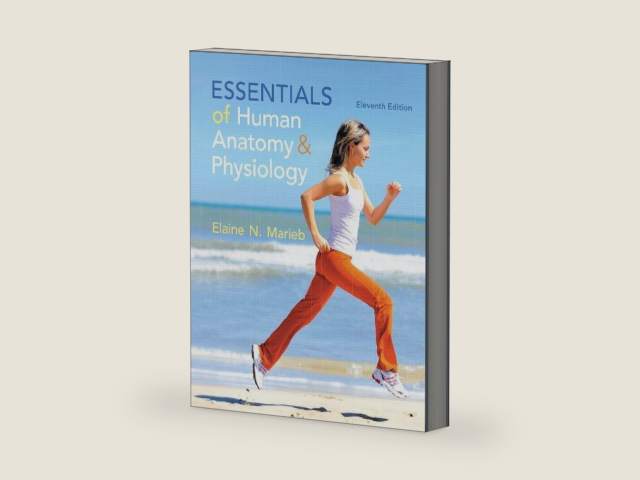 Essentials of Human Anatomy & Physiology (11th Edition) by Elaine N. Marieb