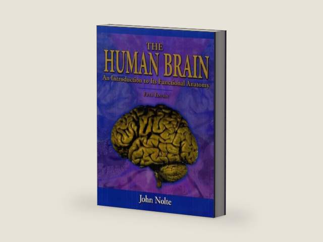 The Human Brain: An Introduction to Its Functional Anatomy by John Nolte PhD PhD