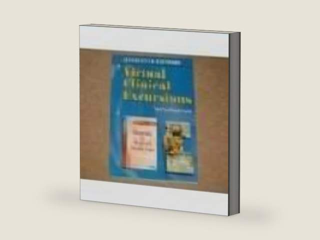 Virtual Clinical Excursions 3.0 for Maternity & Women's Health Care by Deitra Leonard Lowdermilk RNC PhD FAAN