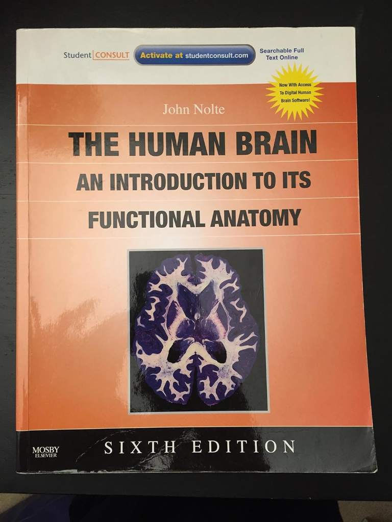 The Human Brain: An Introduction to Its Functional Anatomy by John Nolte PhD PhD