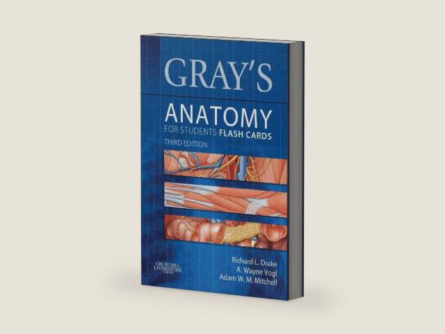 Gray's Anatomy for Students Flash Cards E-Book: with STUDENT CONSULT Online Access by Richard Drake