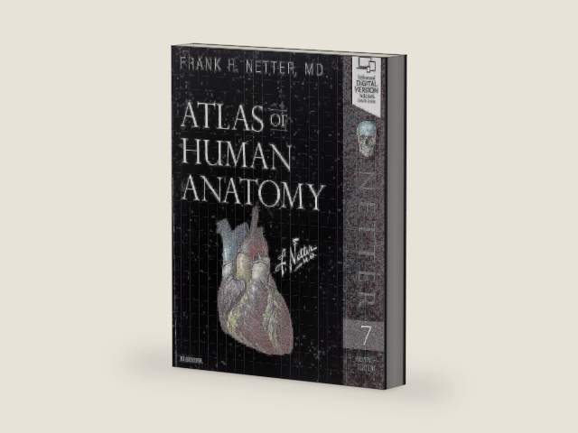 Atlas of Human Anatomy (Netter Basic Science) by Frank H. Netter MD