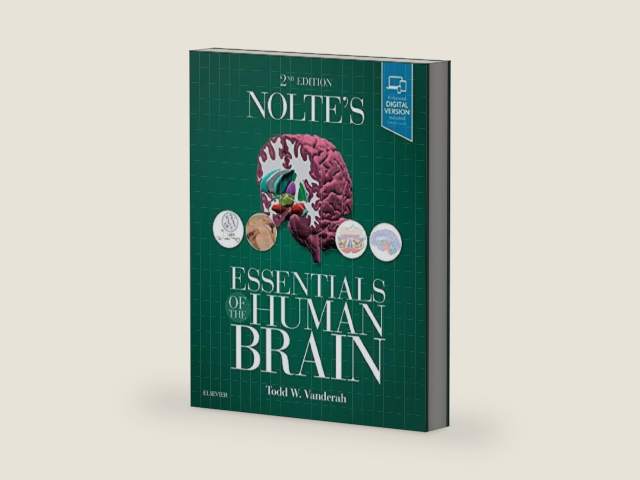 Nolte's Essentials of the Human Brain: With STUDENT CONSULT Online Access by Todd W. Vanderah PhD