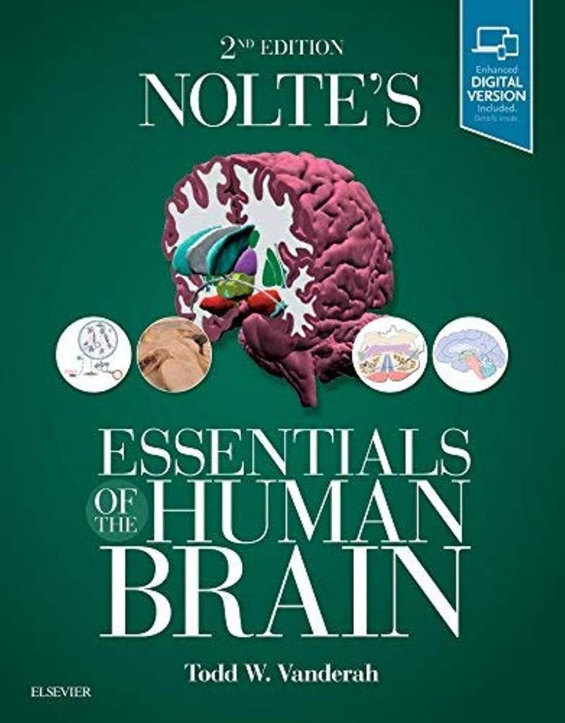 Nolte's Essentials of the Human Brain: With STUDENT CONSULT Online Access by Todd W. Vanderah PhD