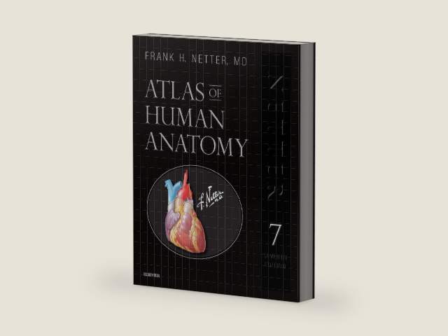 Atlas of Human Anatomy, Professional Edition: including NetterReference.com Access with Full Downloadable Image Bank (Netter Basic Science) by Frank H. Netter MD