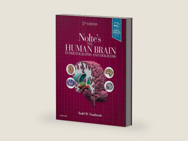 Nolte's The Human Brain in Photographs and Diagrams: With STUDENT CONSULT Online Access by Todd W. Vanderah PhD