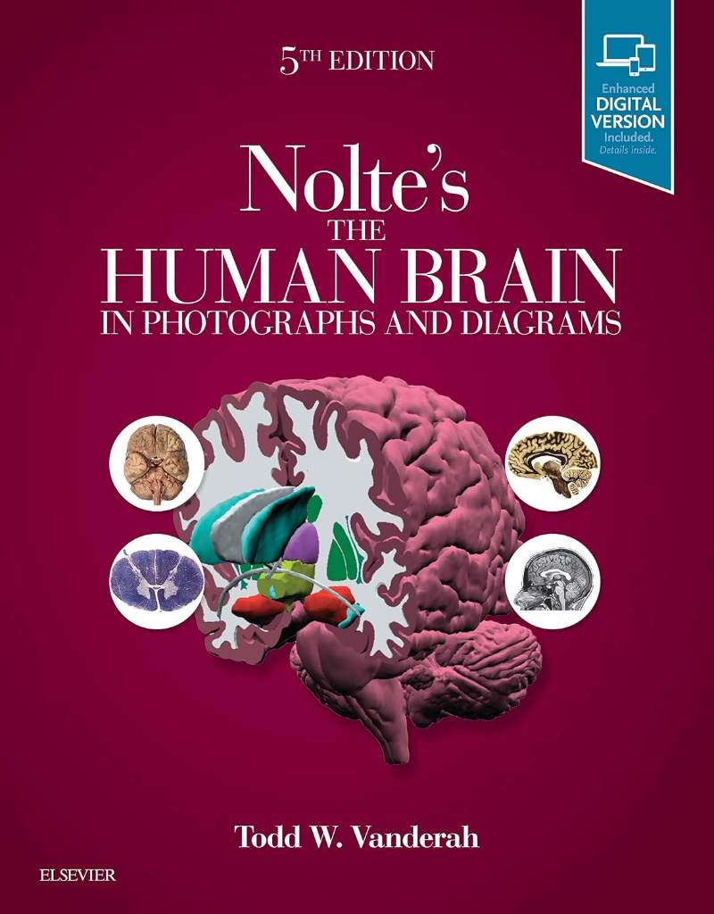 Nolte's The Human Brain in Photographs and Diagrams: With STUDENT CONSULT Online Access by Todd W. Vanderah PhD