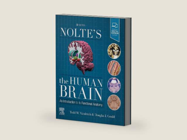 Nolte's The Human Brain: An Introduction to its Functional Anatomy by Todd W. Vanderah PhD