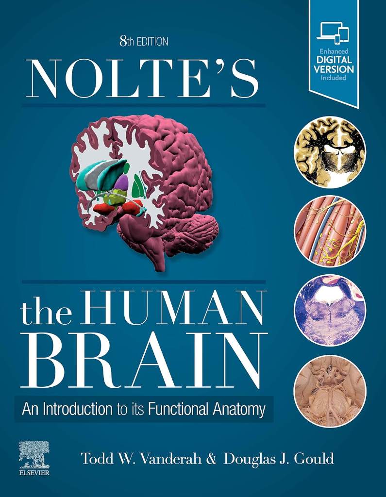 Nolte's The Human Brain: An Introduction to its Functional Anatomy by Todd W. Vanderah PhD