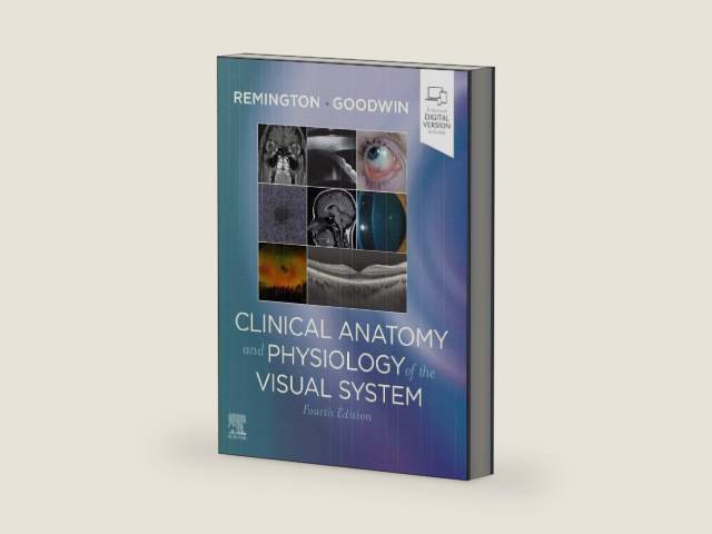 Clinical Anatomy and Physiology of the Visual System by Lee Ann Remington OD MS FAAO