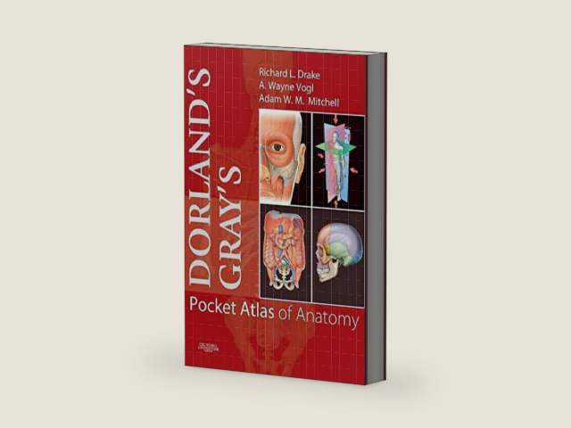 Dorland's/Gray's Pocket Atlas of Anatomy (Dorland's Medical Dictionary) by Richard L. Drake