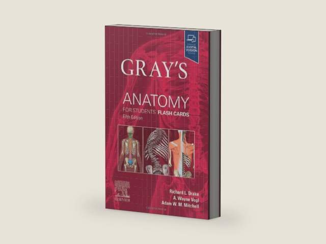 Gray's Anatomy for Students Flash Cards by Richard L. Drake PhD