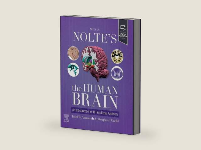Nolte's The Human Brain: An Introduction to its Functional Anatomy by Todd W. Vanderah PhD