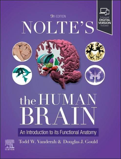 Nolte's The Human Brain: An Introduction to its Functional Anatomy by Todd W. Vanderah PhD