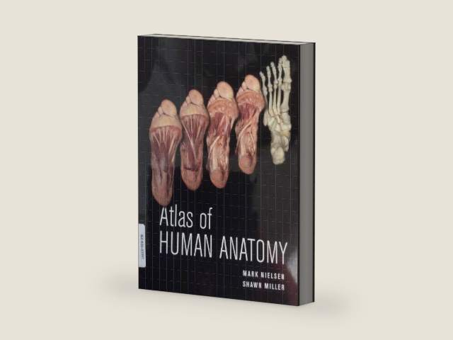Atlas of Human Anatomy by Mark Nielsen