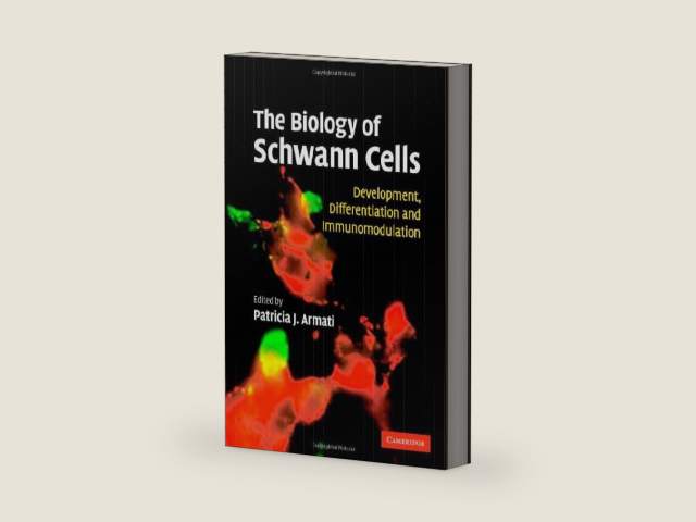 The Biology of Schwann Cells: Development, Differentiation and Immunomodulation by Patricia Armati